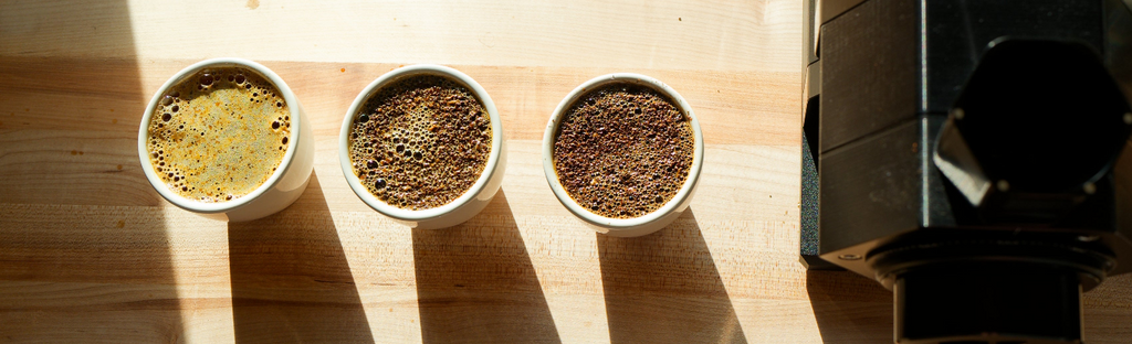 photo of coffee grinds and grinder