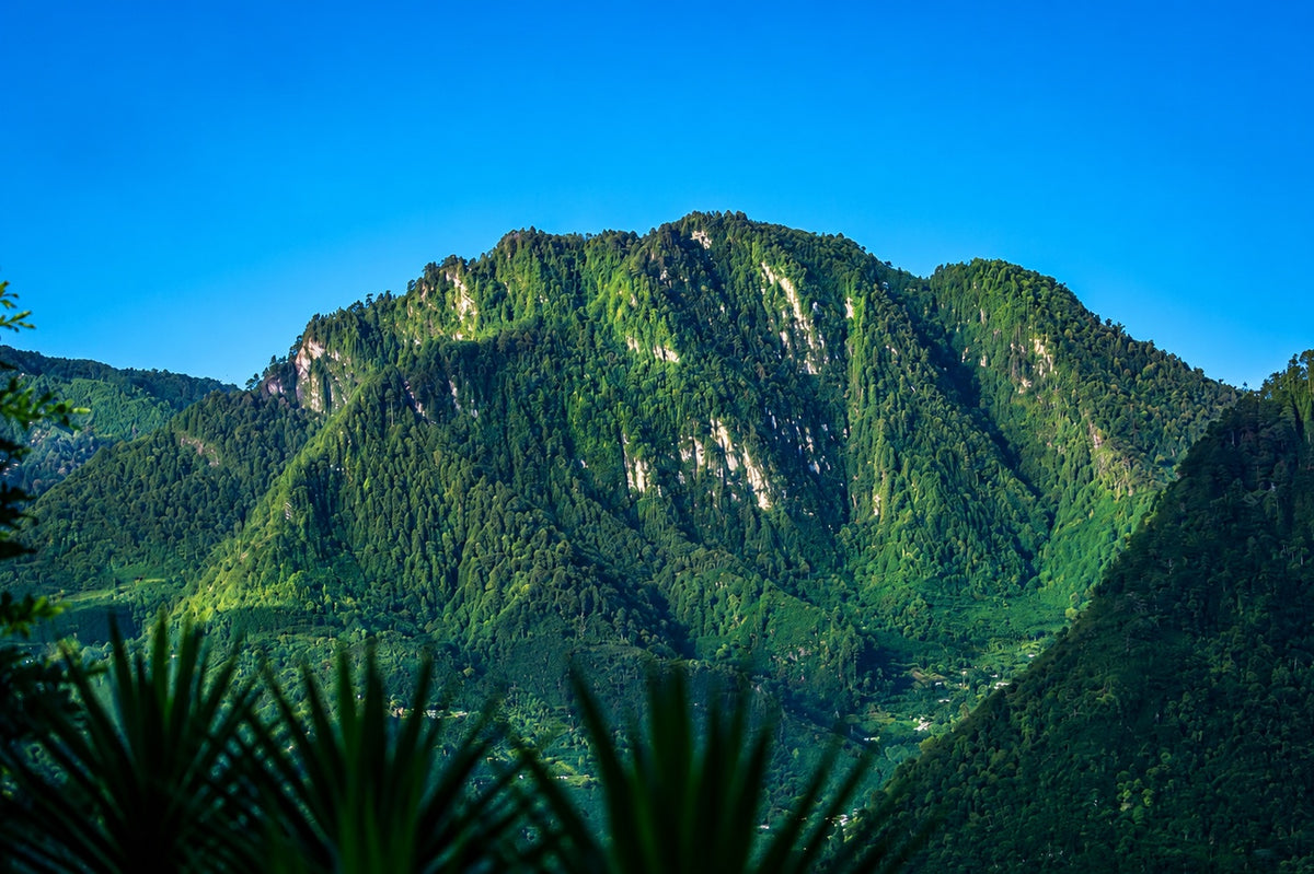 Forested mountain slopes beneath a blue sky at El Injerto in Guatemala.